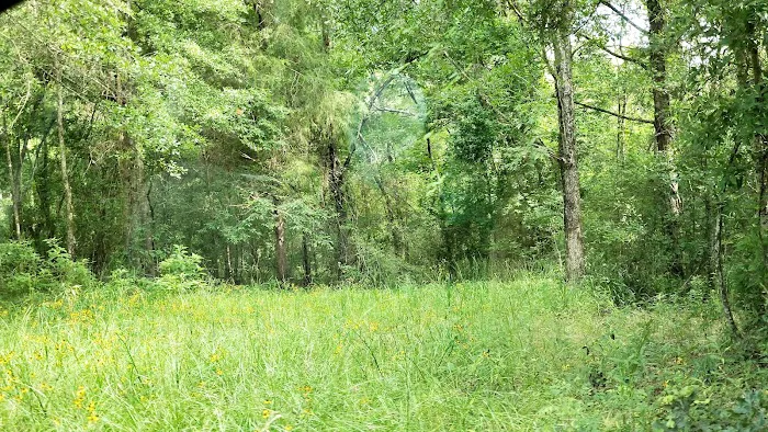 Wildlife Management Area Primitive Camping Picture 3