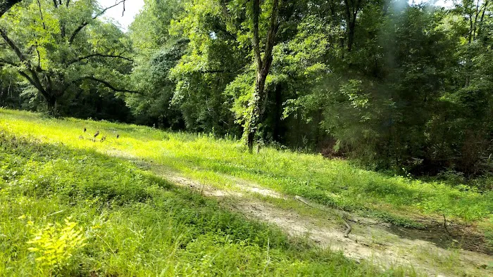 Wildlife Management Area Primitive Camping Picture 5