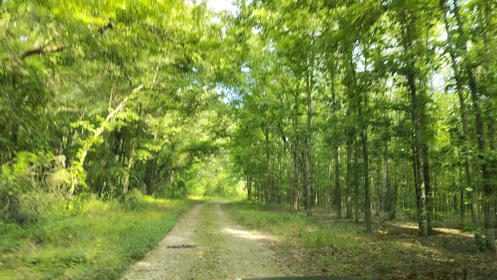 Wildlife Management Area Primitive Camping Picture 4