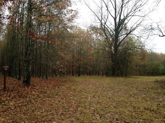 Wildlife Management Area Primitive Camping Picture 7