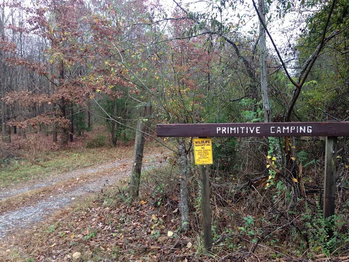 Wildlife Management Area Primitive Camping Picture 8