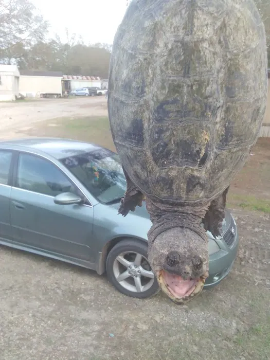 Denham Springs Mobile Home Park Picture 2