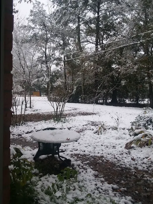 Seven Oaks RV Park Picture 3
