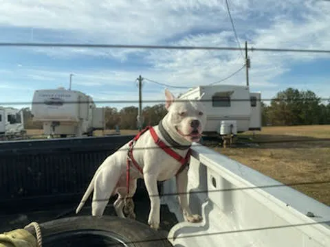 Sunny South RV Park Picture 7
