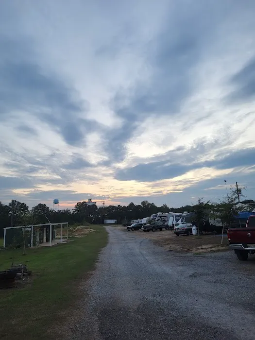 Sunny South RV Park Picture 6