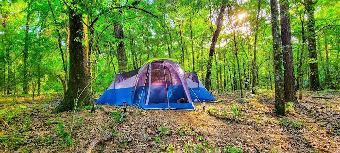 The Pecan Orchard Campgrounds Picture 8