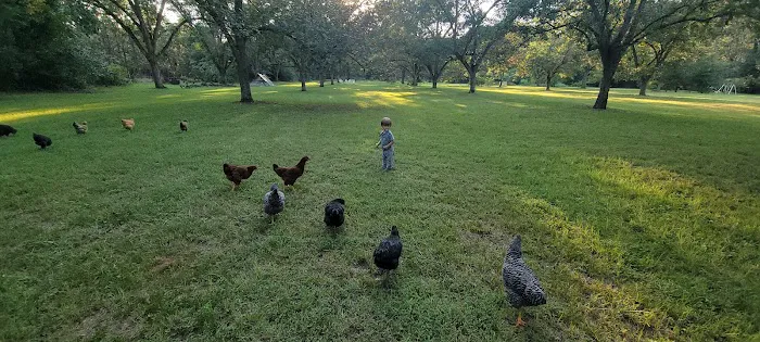 The Pecan Orchard Campgrounds Picture 9