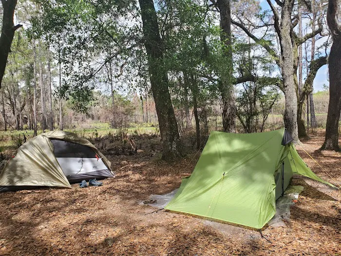 FNST Foster Bridge Campsite (Backcountry) Picture 1