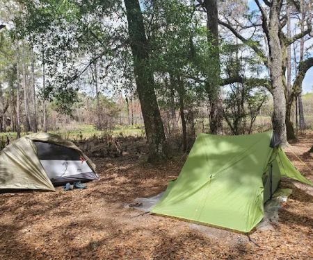 FNST Foster Bridge Campsite (Backcountry)