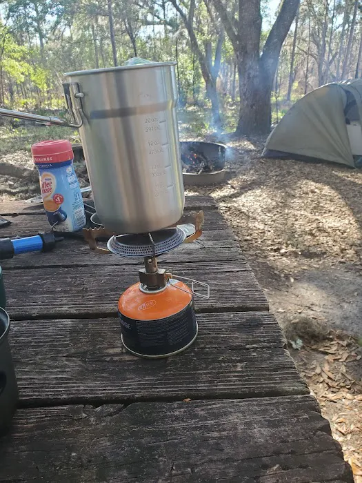 FNST Foster Bridge Campsite (Backcountry) Picture 3