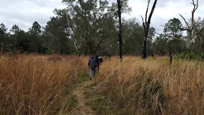 FNST Foster Bridge Campsite (Backcountry) Picture 10