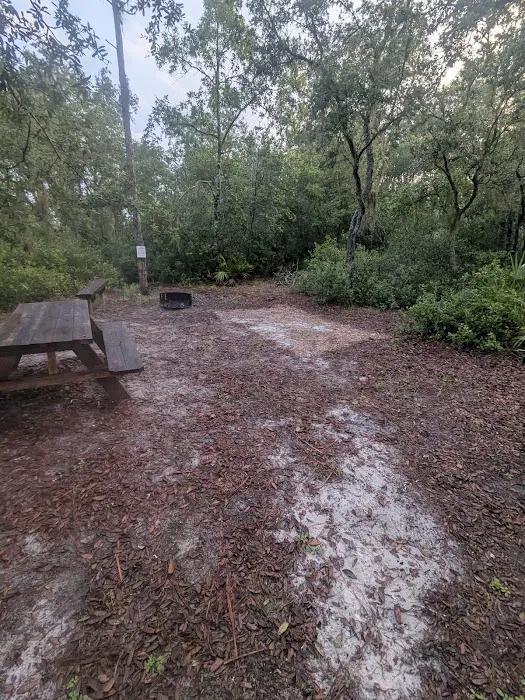 SWFWMD Concession Stand Campsite Picture 3