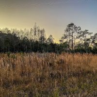 Serenova tract campground ico