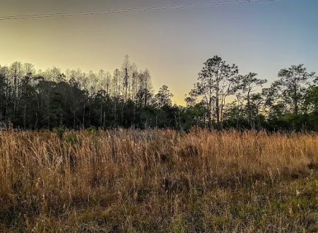 Serenova tract campground