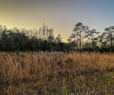 Serenova tract campground