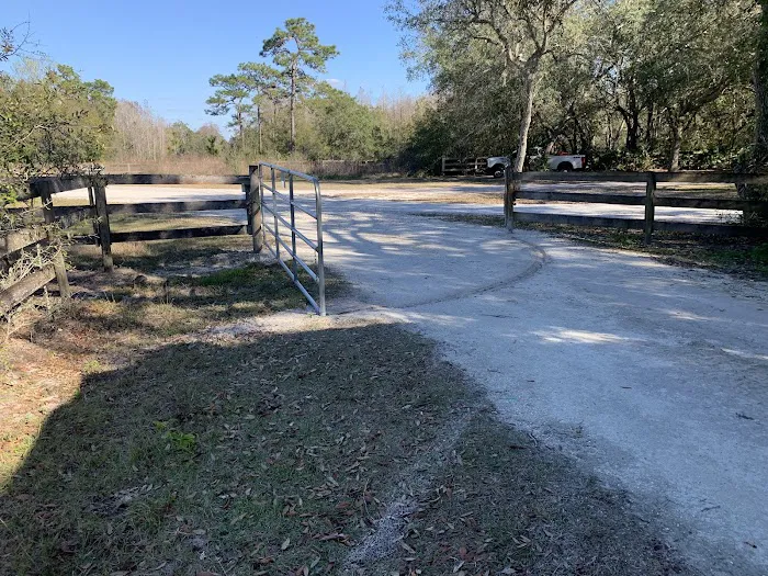Serenova tract campground Picture 3