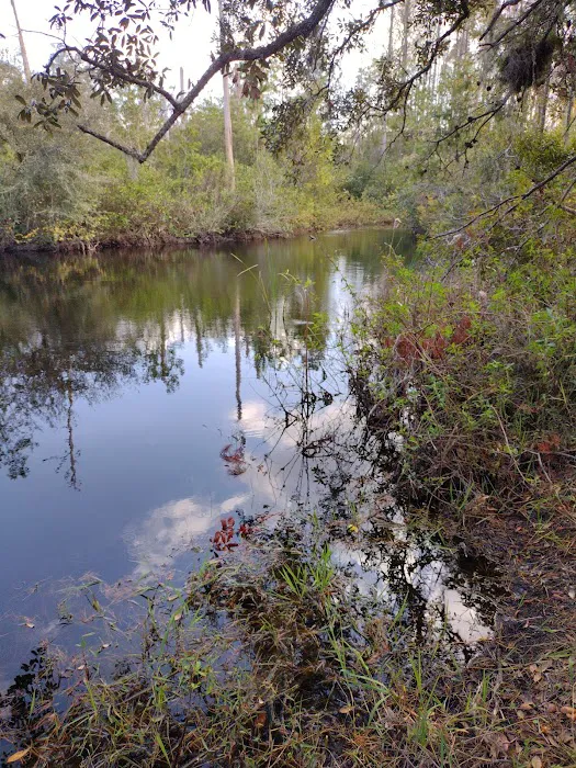 Serenova tract campground Picture 7