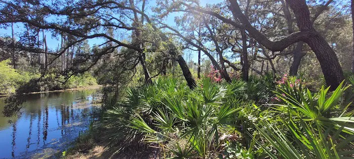 Serenova tract campground Picture 10