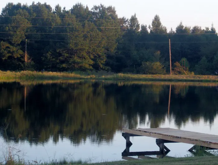 Go Fish RV Park Picture 8