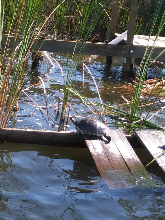 Lake Garden Mobile Home Park Picture 4