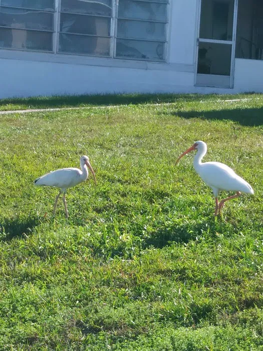 Lake Garden Mobile Home Park Picture 6
