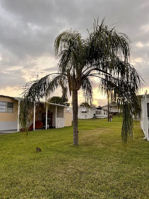 Paradise Village Mobile Home Park Picture 5