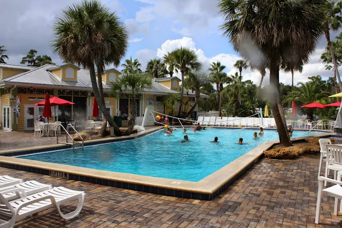 Encore Tropical Palms Picture 4