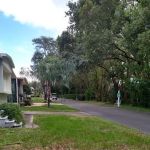Gadsden Management Inc