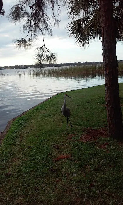 Gadsden Management Inc Picture 3