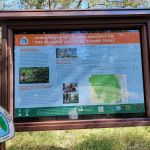 SWFWMD Trial Ford Camp