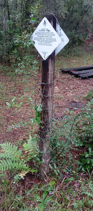 SWFWMD Trial Ford Camp Picture 10
