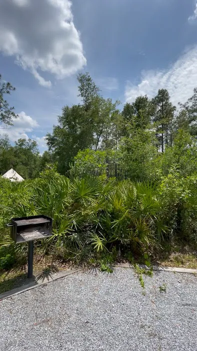 Colt Creek State Park Campground Picture 6