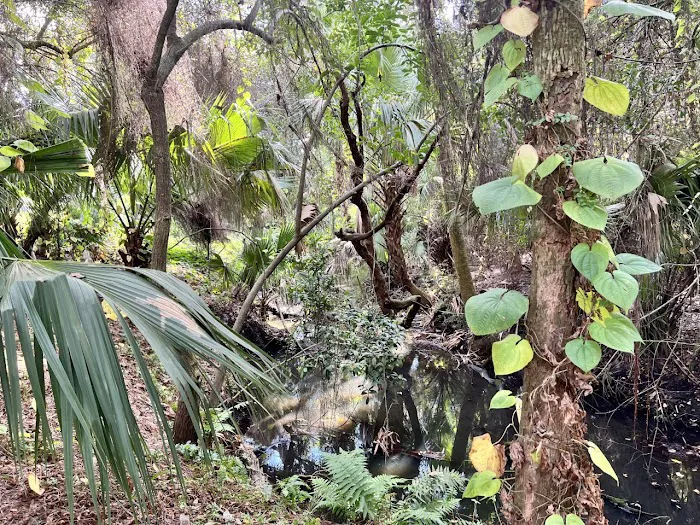 Royal Palm Mobile Home Park Picture 2