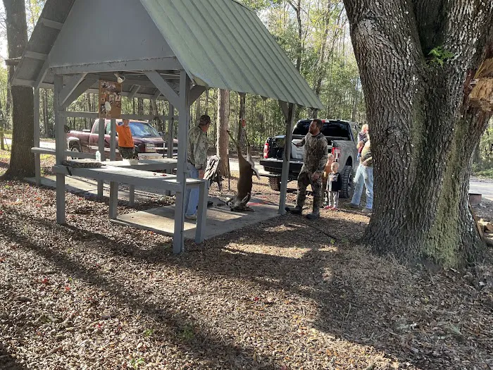 SWFWMD McNeil Group Campground Picture 1