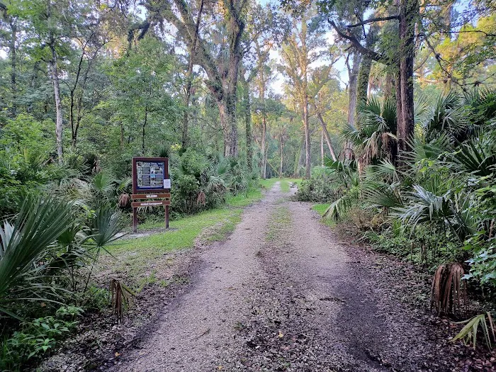 SWFWMD McNeil Group Campground Picture 2