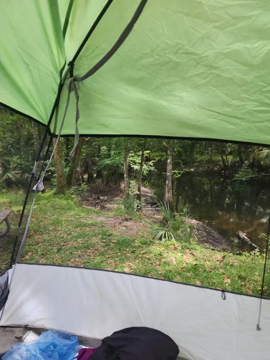 SWFWMD McNeil Group Campground Picture 4