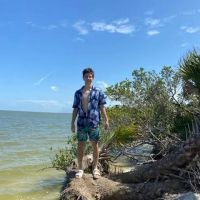 Scout island ico