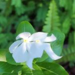 Floridays RV Park
