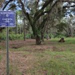 Yellow Loop Campground South