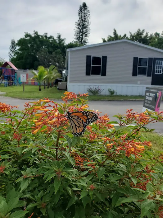 Hobe Village Mobile Home Park Picture 7