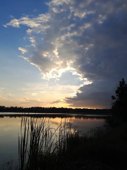 Fish Hawk Pond Campsite Picture 1