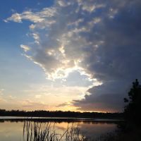 Fish Hawk Pond Campsite ico