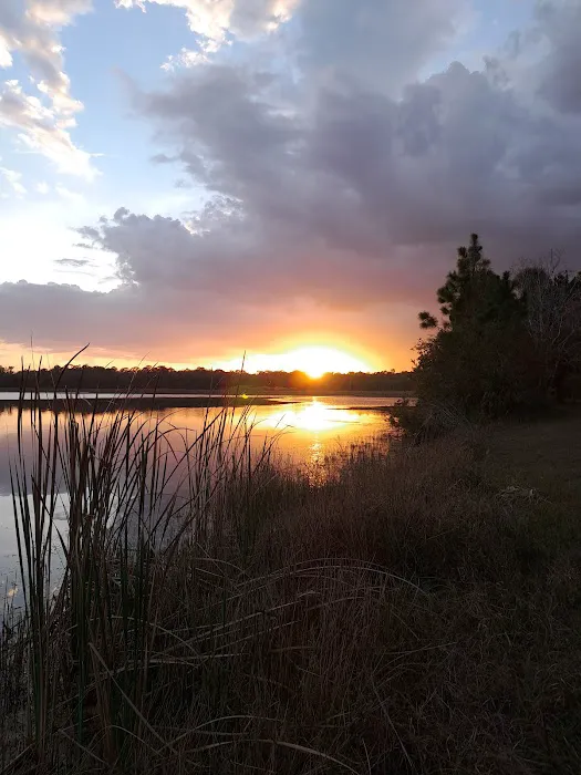 Fish Hawk Pond Campsite Picture 3