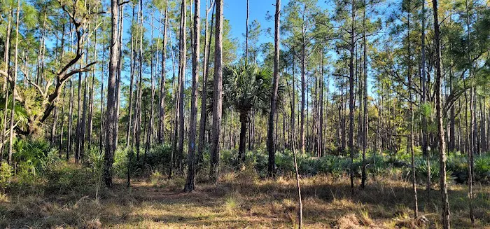 Tosohatchee Youth Camp Picture 2