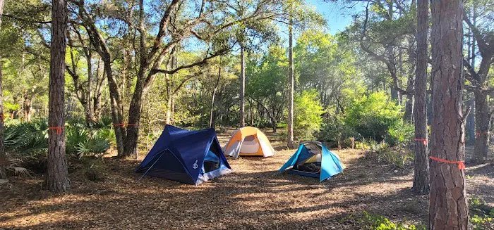 Tosohatchee Youth Camp Picture 4