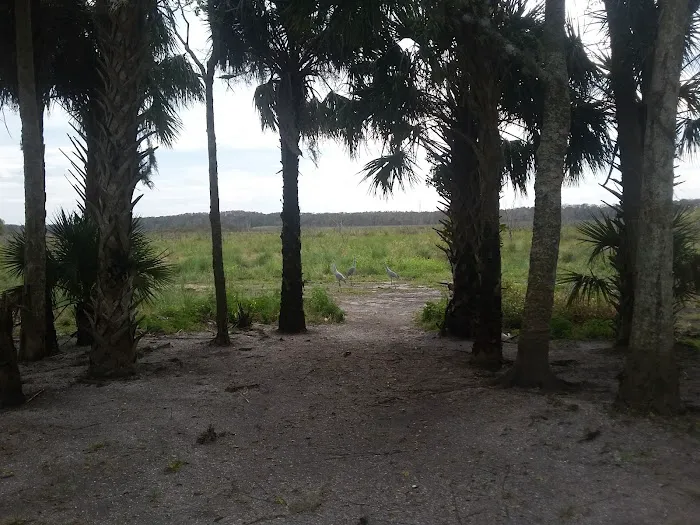 Lake Cone Campground Picture 5