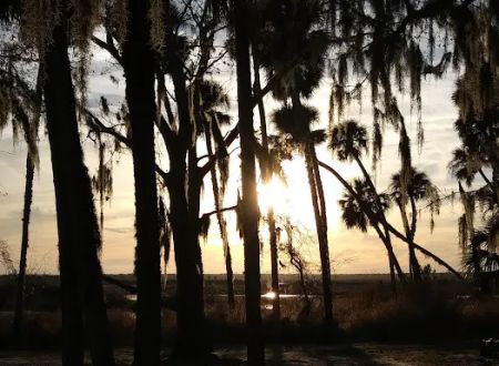 Group Camp - St. Johns River Water Management District