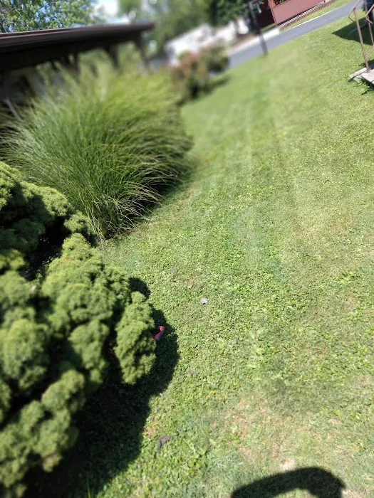 Dutch Hollow Village Picture 5