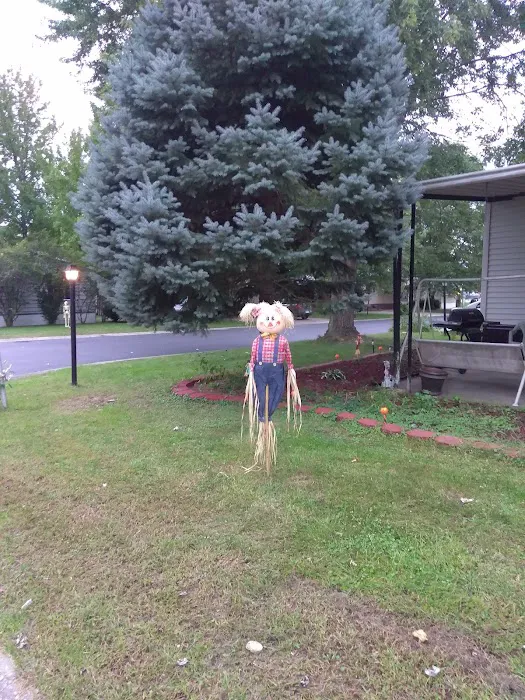 Dutch Hollow Village Picture 1
