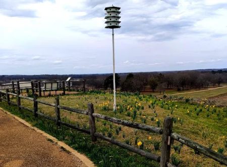 Lake Sardis Campground